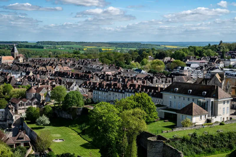 Tomatoes on the Tower, Mint in the Alley: Meet the People Growing Trnava From the Ground Up